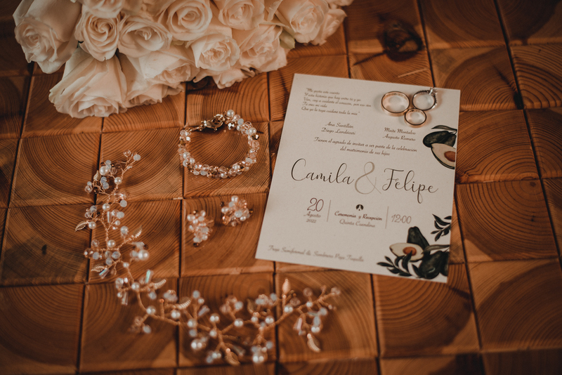 Camila + Felipe Wedding APP-1