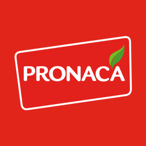 Pronaca - Sole Planning - Design - Production