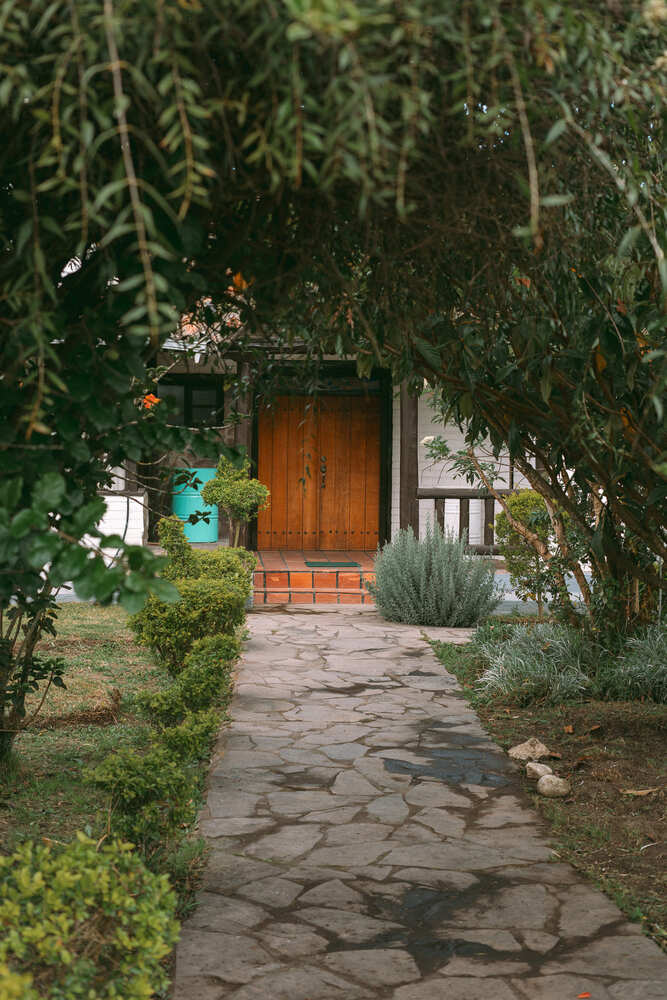 Stefania + Juan APP2